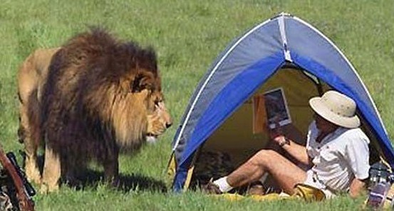 "t'aurai pas vu Tarzan, j'ai 2 mots à lui dire" "t'aurai pas vu Tarzan, j'ai 2 mots à lui dire"
