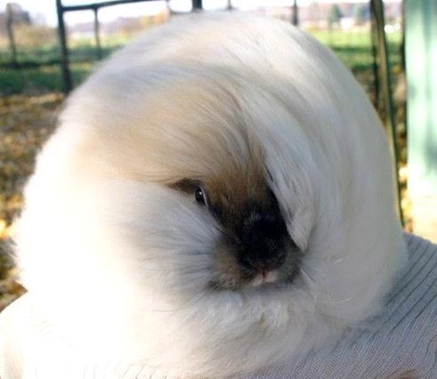 "oulala du vent ! adieu mon brushing maison ! "oulala du vent ! adieu mon brushing maison !