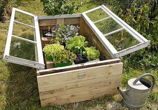 Astuces pour protéger boutures et semis ! Astuces pour protéger boutures et semis !