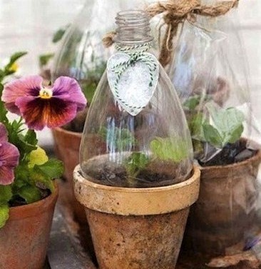 Astuces pour protéger boutures et semis ! Astuces pour protéger boutures et semis !