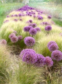 Les curiosités du jardin !