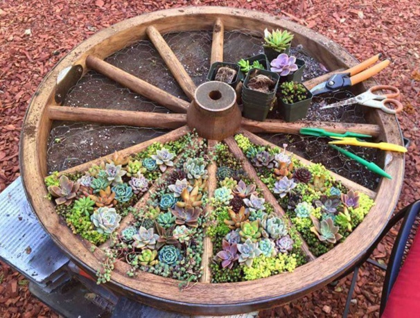 De la Récup créative au jardin !