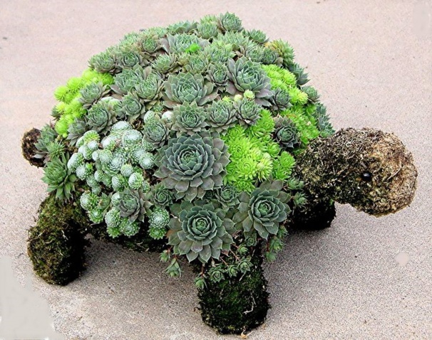 Sculptures végétales animales