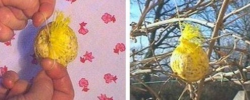 Comment nourrir les oiseaux pendant l'hiver Comment nourrir les oiseaux pendant l'hiver
