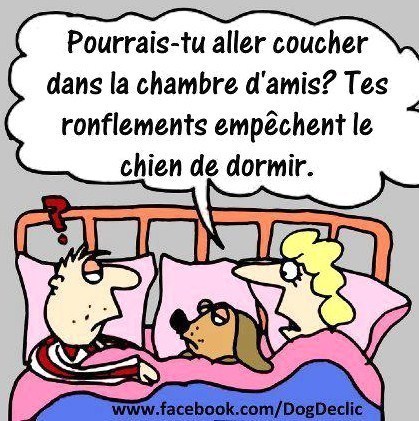 Dessins drôles : les couples au lit