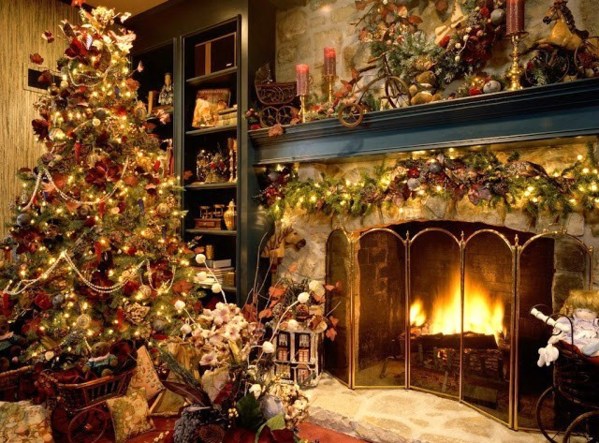 De superbes sapins de Noël ! De superbes sapins de Noël !