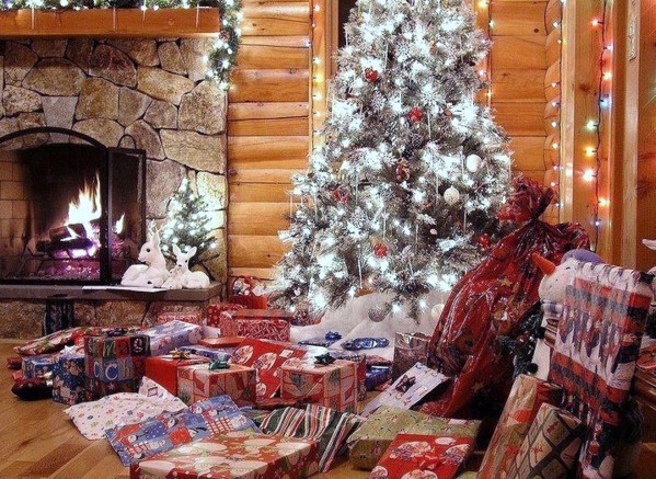 De superbes sapins de Noël ! De superbes sapins de Noël !