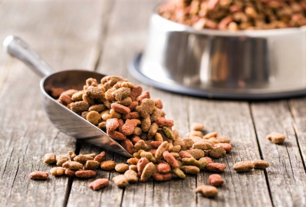 Que valent réellement les croquettes de votre chien ?