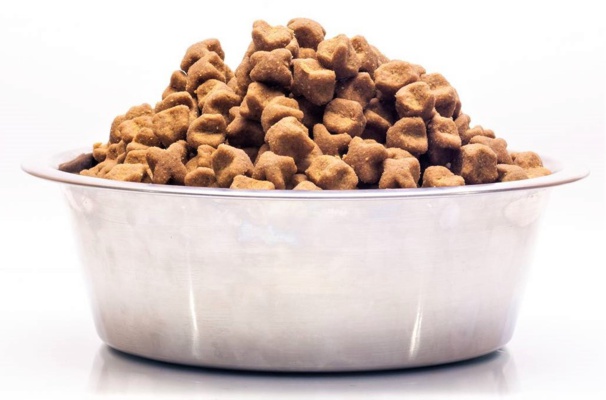Que valent réellement les croquettes de votre chien ?