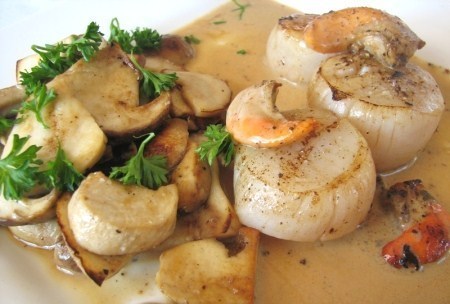 9 recettes aux Noix de St Jacques 9 recettes aux Noix de St Jacques