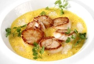 9 recettes aux Noix de St Jacques 9 recettes aux Noix de St Jacques