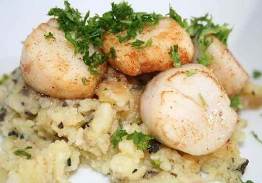 9 recettes aux Noix de St Jacques 9 recettes aux Noix de St Jacques