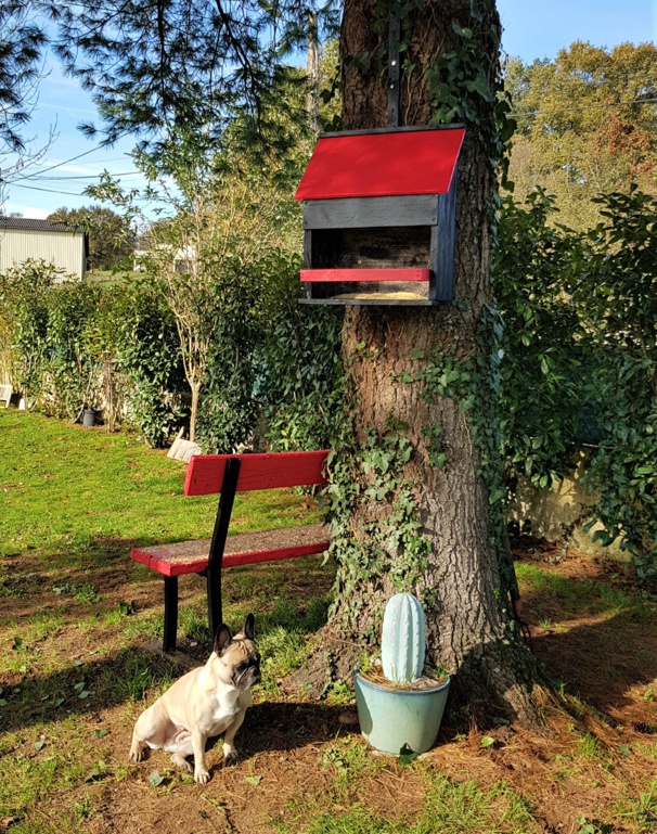 Mangeoire pour nourrir les oiseaux