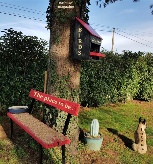 Mangeoire pour nourrir les oiseaux Mangeoire pour nourrir les oiseaux