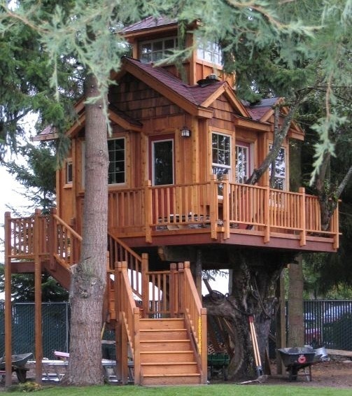 Belles Maisons en bois dans les arbres