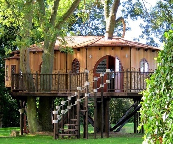 Belles Maisons en bois dans les arbres