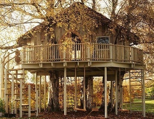 Belles Maisons en bois dans les arbres