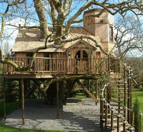 Belles Maisons en bois dans les arbres