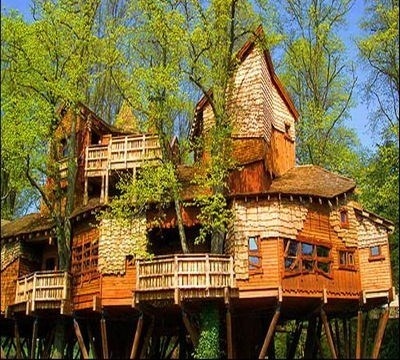 Belles Maisons en bois dans les arbres