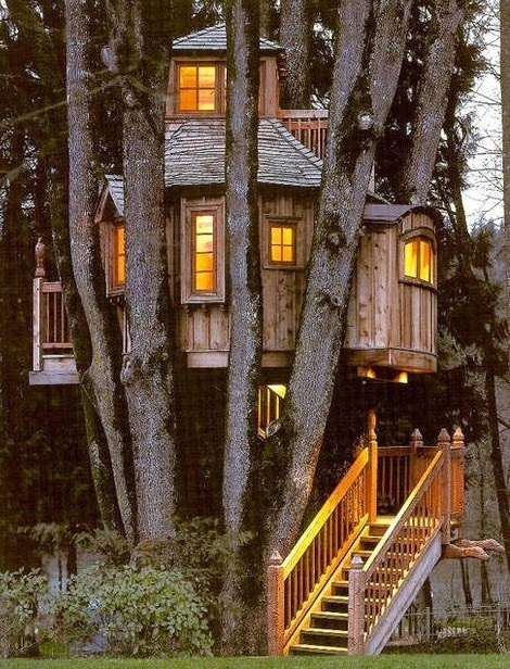 Belles Maisons en bois dans les arbres