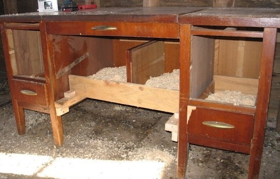 Avoir des poules dans son jardin Avoir des poules dans son jardin