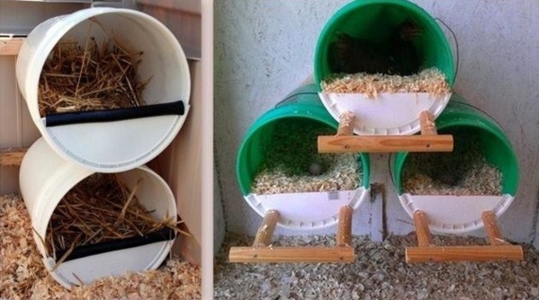 Avoir des poules dans son jardin Avoir des poules dans son jardin