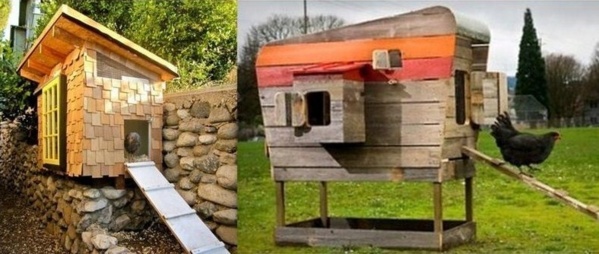 Avoir des poules dans son jardin Avoir des poules dans son jardin