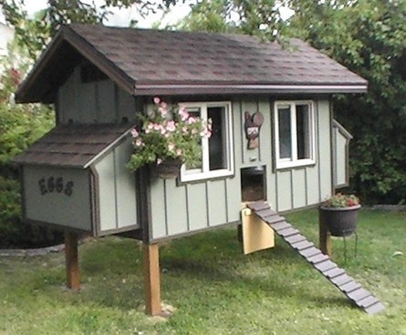 Avoir des poules dans son jardin Avoir des poules dans son jardin