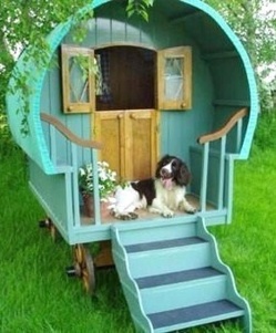 Des niches pour chien, originales et insolites !