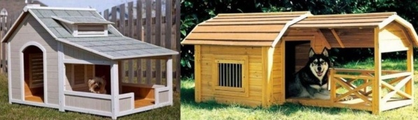 Des niches pour chien, originales et insolites !