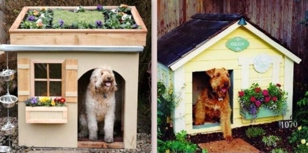 Des niches pour chien, originales et insolites !