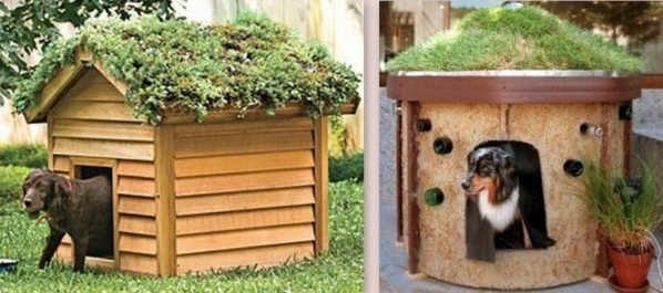 Des niches pour chien, originales et insolites !