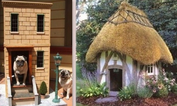 Des niches pour chien, originales et insolites !