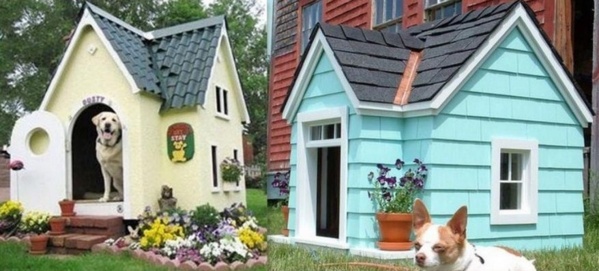 Des niches pour chien, originales et insolites !