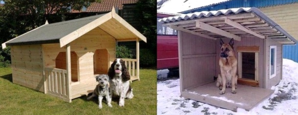 Des niches pour chien, originales et insolites !