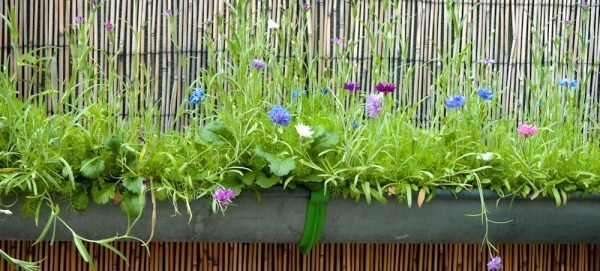 Recyclez vos gouttières en zinc en jardinières ! Recyclez vos gouttières en zinc en jardinières !