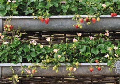 Recyclez vos gouttières en zinc en jardinières !