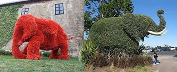 Superbes Sculptures végétales éléphants Superbes Sculptures végétales éléphants