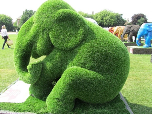 Superbes Sculptures végétales éléphants