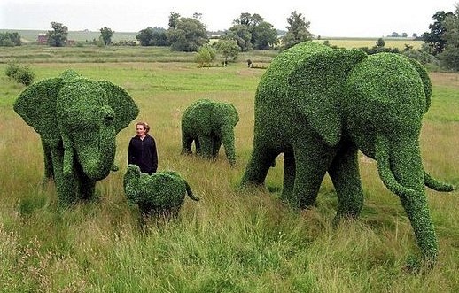 Superbes Sculptures végétales éléphants