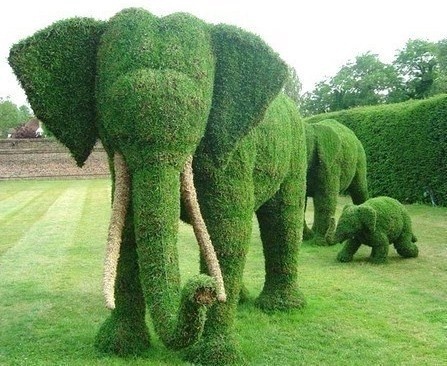 Superbes Sculptures végétales éléphants