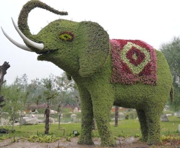 Superbes Sculptures végétales éléphants Superbes Sculptures végétales éléphants