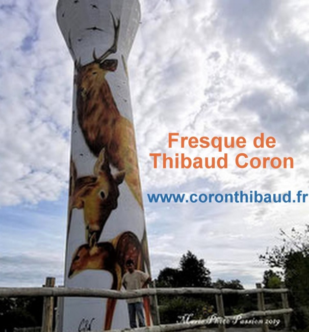 Des châteaux d'eau superbement décorés Des châteaux d'eau superbement décorés