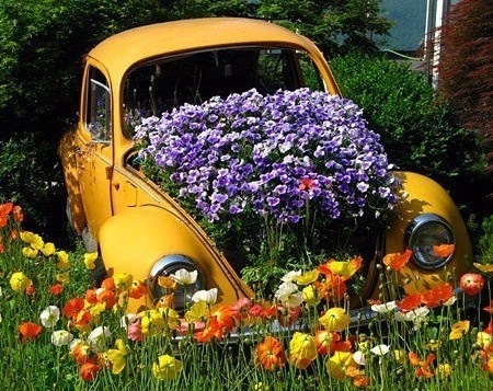 Jardinières géantes Voitures fleuries Jardinières géantes Voitures fleuries