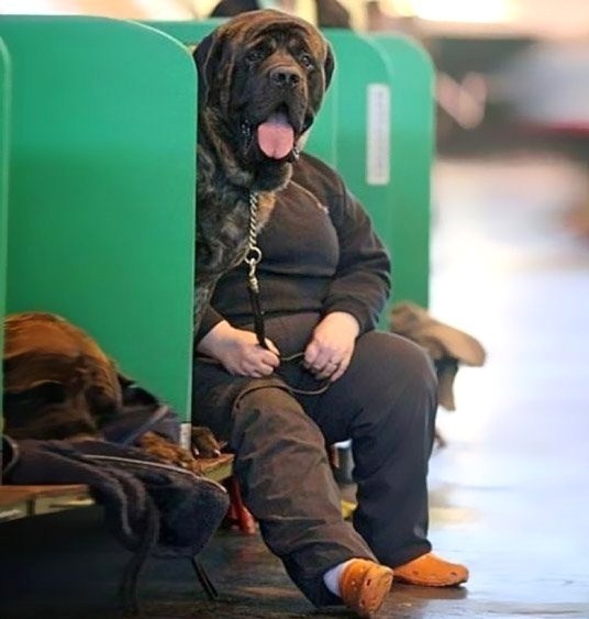 Photos insolites et trompeuses Photos insolites et trompeuses