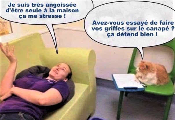 Humour Photos montages animaux