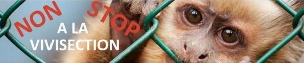 NON à la VIVISECTION NON à la VIVISECTION