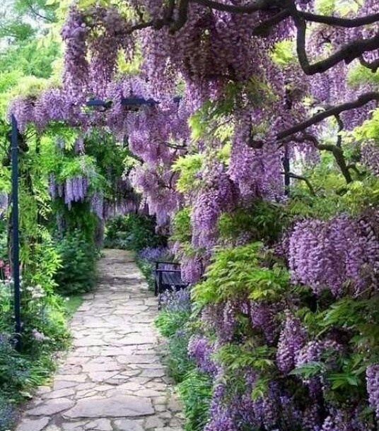 De superbes allées de jardin !