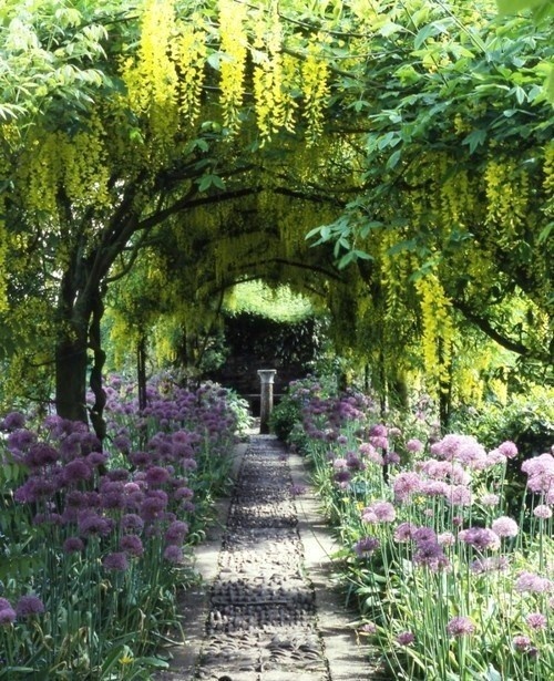 De superbes allées de jardin !