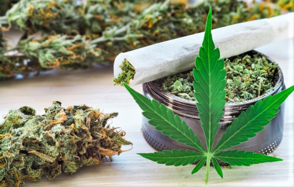 Les fleurs CBD : quelles vertus sur la santé ?